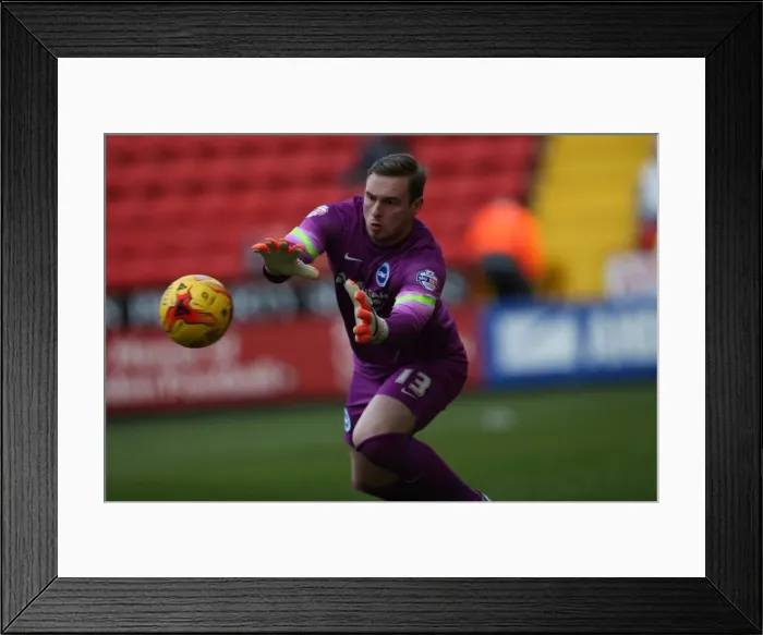 Framed Print : David Stockdale in Action: Charlton Athletic vs. Brighton and Hove Albion, The Valley, 2015 Framed Print : David Stockdale in Action: Charlton Athletic vs. Brighton and Hove Albion, The Valley, 2015