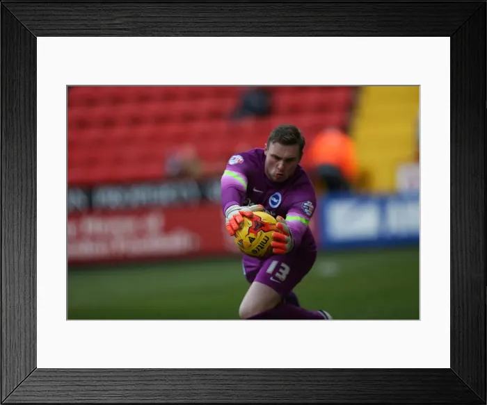 Framed Print : David Stockdale: In Action at The Valley - Charlton Athletic vs. Brighton and Hove Albion, 2015 Framed Print : David Stockdale: In Action at The Valley - Charlton Athletic vs. Brighton and Hove Albion, 2015