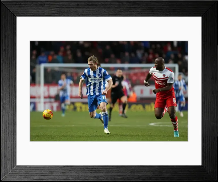 Framed Print : Charlton Athletic vs Brighton & Hove Albion: Mackail-Smith's Action-Packed Performance (10 January 2015) Framed Print : Charlton Athletic vs Brighton & Hove Albion: Mackail-Smith's Action-Packed Performance (10 January 2015)