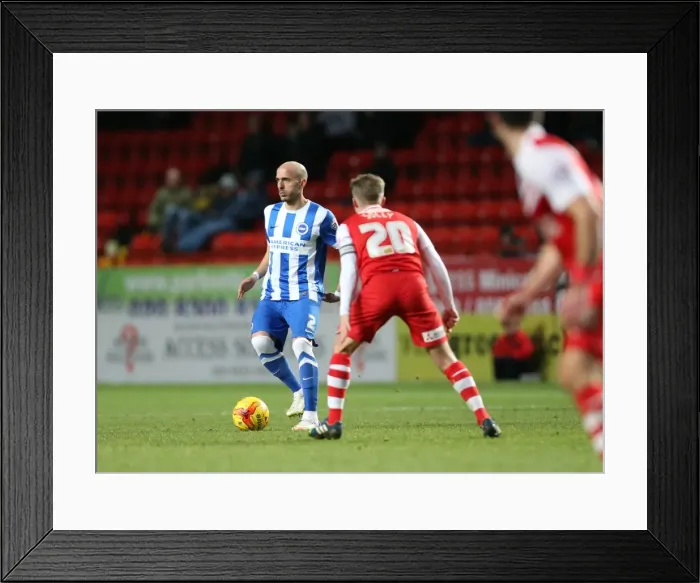 Framed Print : Bruno Saltor in Action: Brighton and Hove Albion vs Charlton Athletic, The Valley, January 2015