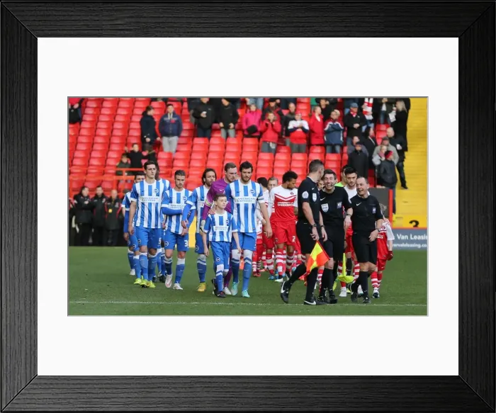 Framed Print : Brighton & Hove Albion Mascot at Charlton Athletic: Sky Bet Championship Clash, The Valley, 10 January 2015