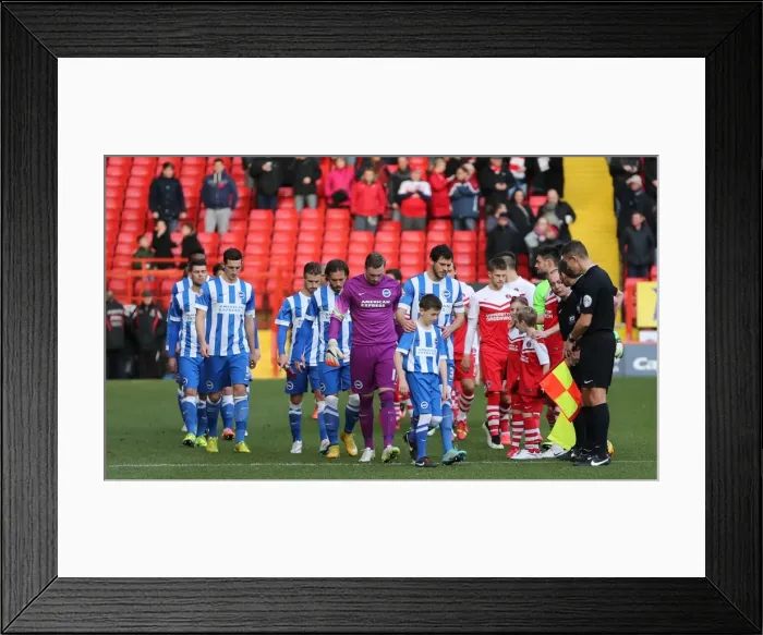 Framed Print : Brighton & Hove Albion's Mascot at Charlton Athletic's The Valley during Sky Bet Championship Match, 10 January 2015 Framed Print : Brighton & Hove Albion's Mascot at Charlton Athletic's The Valley during Sky Bet Championship Match, 10 January 2015