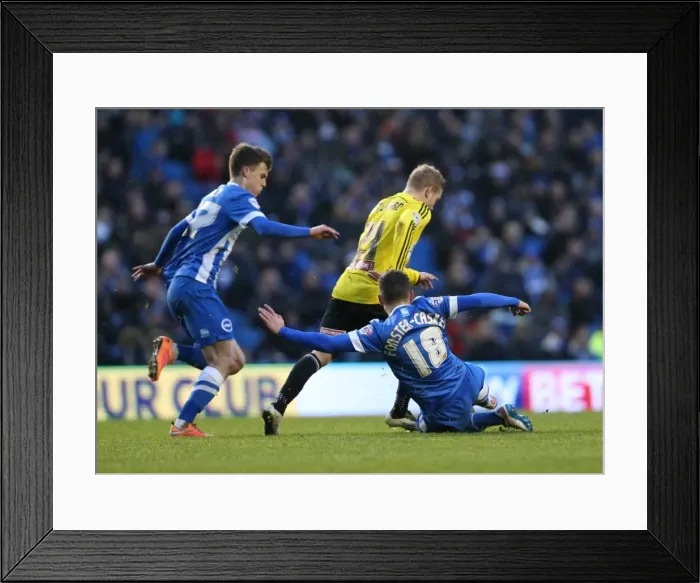 Framed Print : Jake Forster-Caskey in Action: Brighton & Hove Albion vs. Brentford (17Jan15) Framed Print : Jake Forster-Caskey in Action: Brighton & Hove Albion vs. Brentford (17Jan15)