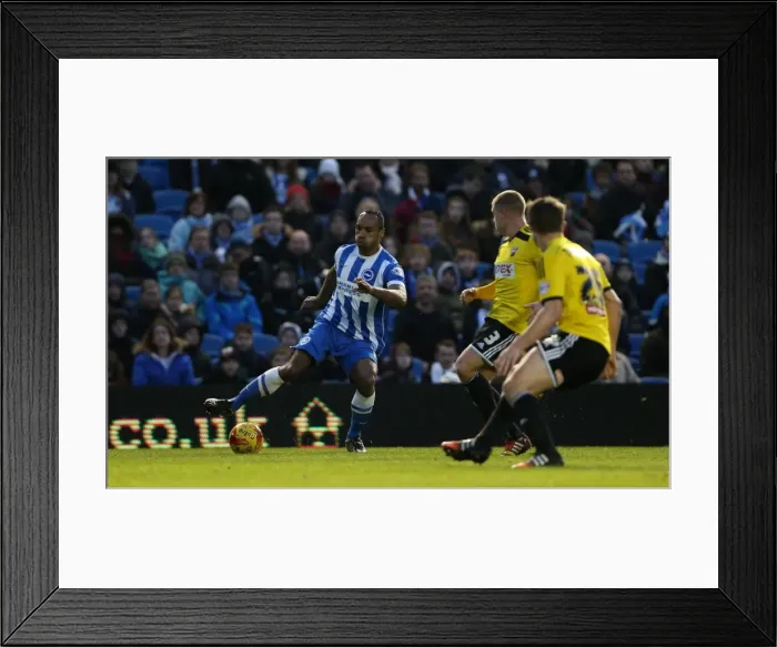 Framed Print : Chris O'Grady in Action: Brighton & Hove Albion vs. Brentford, American Express Community Stadium (January 17, 2015) Framed Print : Chris O'Grady in Action: Brighton & Hove Albion vs. Brentford, American Express Community Stadium (January 17, 2015)