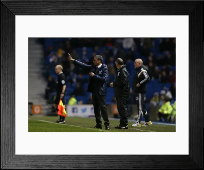 Framed Print : Chris Hughton Leads Brighton and Hove Albion Against Brentford, January 2015