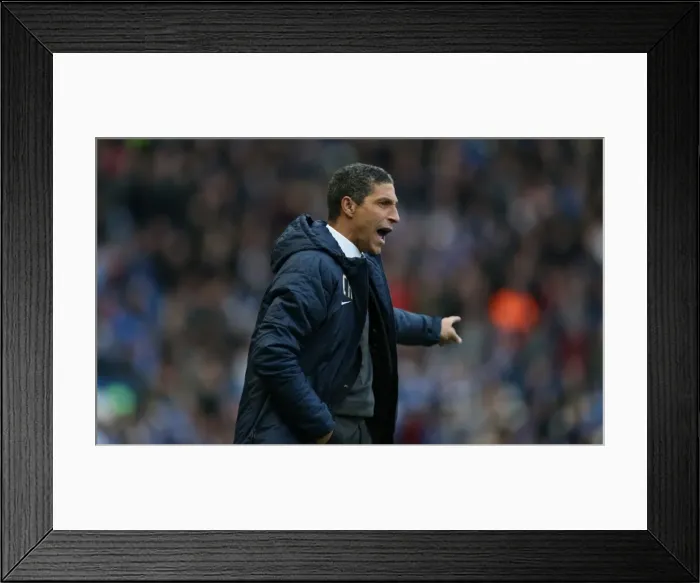Framed Print : Chris Hughton in Intense Focus: Brighton and Hove Albion vs. Brentford, Sky Bet Championship, 17 January 2015