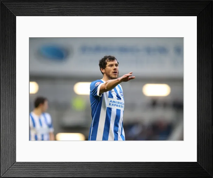 Framed Print : Gordon Greer in Action: Brighton & Hove Albion vs. Brentford (17Jan15) Framed Print : Gordon Greer in Action: Brighton & Hove Albion vs. Brentford (17Jan15)