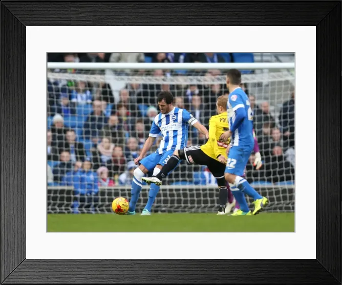 Framed Print : Gordon Greer in Action: Brighton & Hove Albion vs. Brentford (17Jan15) Framed Print : Gordon Greer in Action: Brighton & Hove Albion vs. Brentford (17Jan15)