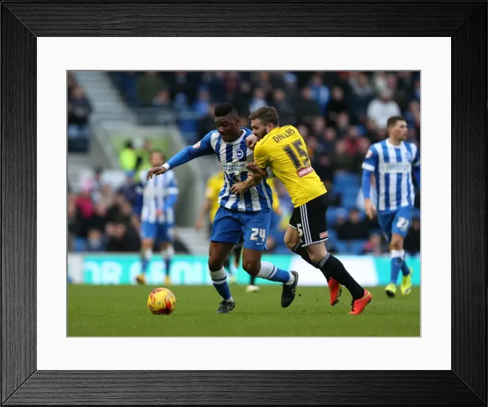 Framed Print : Rohan Ince in Action: Brighton & Hove Albion vs. Brentford (17Jan15) Framed Print : Rohan Ince in Action: Brighton & Hove Albion vs. Brentford (17Jan15)