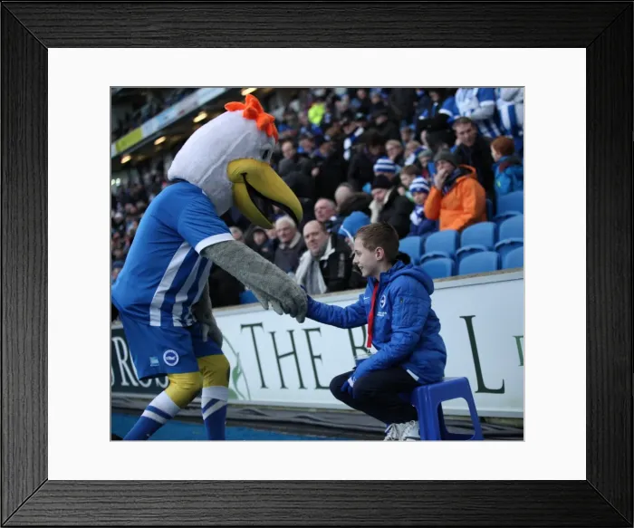 Framed Print : Passionate Clash: Brighton and Hove Albion vs. Brentford (17 January 2015) Framed Print : Passionate Clash: Brighton and Hove Albion vs. Brentford (17 January 2015)