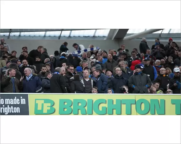 Passionate Clash: Brighton & Hove Albion vs. Brentford (17Jan15)