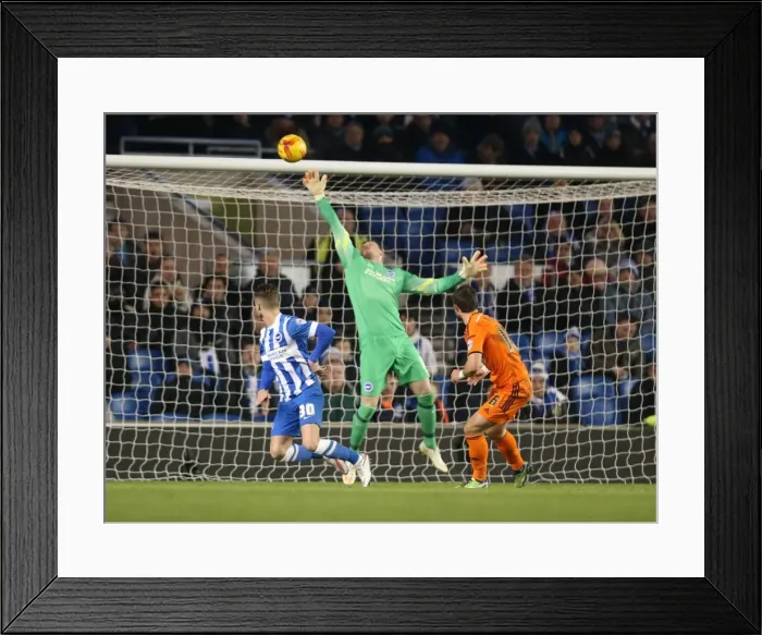 Framed Print : David Stockdale in Action: Brighton and Hove Albion vs Ipswich Town, Sky Bet Championship, American Express Community Stadium, January 2015 Framed Print : David Stockdale in Action: Brighton and Hove Albion vs Ipswich Town, Sky Bet Championship, American Express Community Stadium, January 2015
