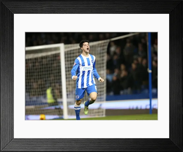 Framed Print : Joao Teixeira Scores His Second Goal: Brighton and Hove Albion vs Ipswich Town, Sky Bet Championship (21 January 2015) Framed Print : Joao Teixeira Scores His Second Goal: Brighton and Hove Albion vs Ipswich Town, Sky Bet Championship (21 January 2015)