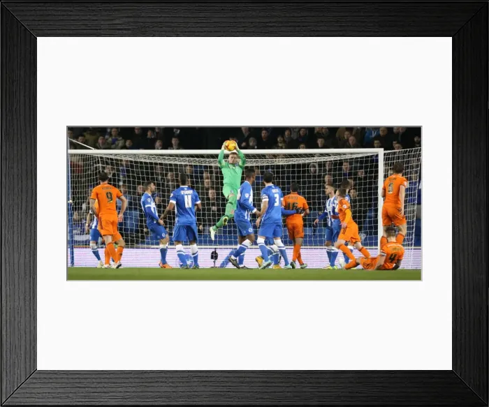 Framed Print : David Stockdale in Action: Brighton & Hove Albion vs Ipswich Town Championship Clash, January 2015