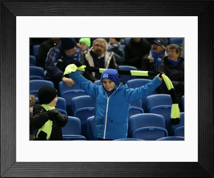 Framed Print : Passionate Moment: Brighton and Hove Albion Fans Unwavering Support vs Ipswich Town (January 2015)