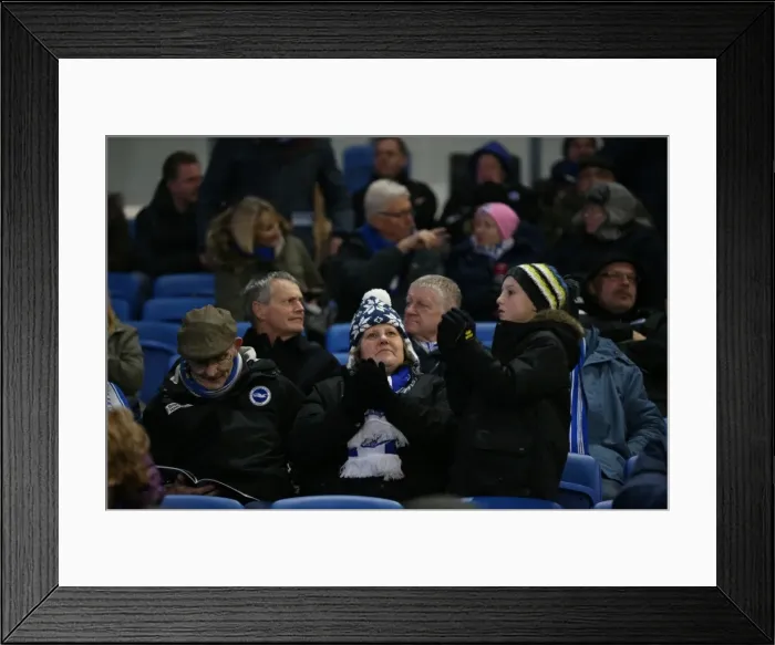 Framed Print : Passionate Albion Fans: A Moment of Pride at the American Express Community Stadium (January 2015) - Brighton and Hove Albion vs Ipswich Town