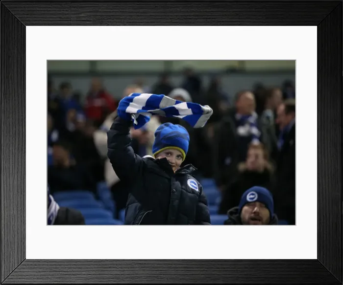 Framed Print : Passionate Moment: Brighton and Hove Albion Fans Unwavering Support vs Ipswich Town (January 2015) Framed Print : Passionate Moment: Brighton and Hove Albion Fans Unwavering Support vs Ipswich Town (January 2015)