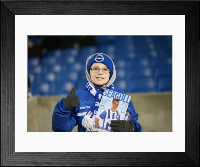 Framed Print : Brighton and Hove Albion vs Ipswich Town: Passionate Fan Moment at American Express Community Stadium (21st January 2015) Framed Print : Brighton and Hove Albion vs Ipswich Town: Passionate Fan Moment at American Express Community Stadium (21st January 2015)