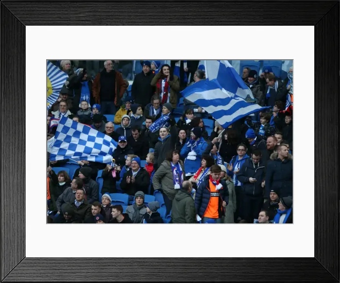 Framed Print : FA Cup Showdown: Arsenal vs. Brighton & Hove Albion - Seagulls Fans Amidst the Storm (25Jan15) Framed Print : FA Cup Showdown: Arsenal vs. Brighton & Hove Albion - Seagulls Fans Amidst the Storm (25Jan15)