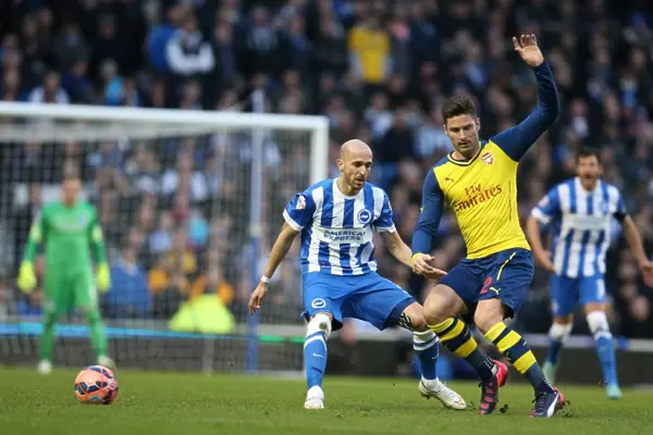Bruno Saltor of Brighton and Hove Albion Faces Off Against Arsenal in FA Cup Match, January 2015