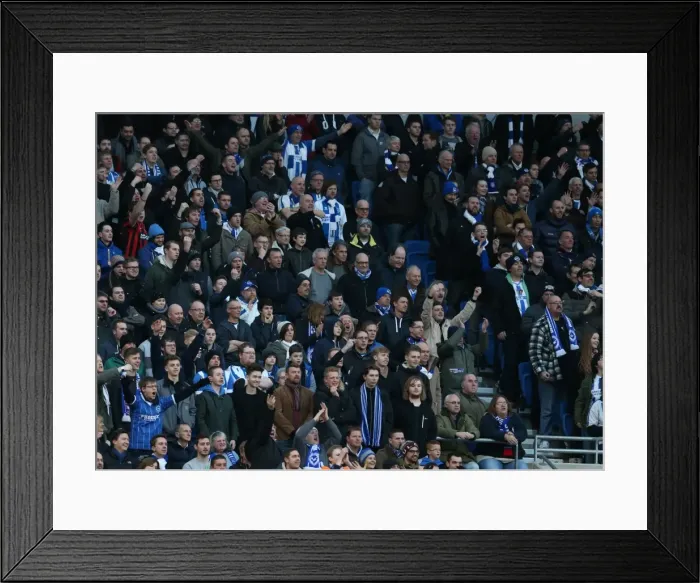Framed Print : Seagulls Soar: Brighton & Hove Albion FA Cup Clash vs. Arsenal (25Jan15) Framed Print : Seagulls Soar: Brighton & Hove Albion FA Cup Clash vs. Arsenal (25Jan15)
