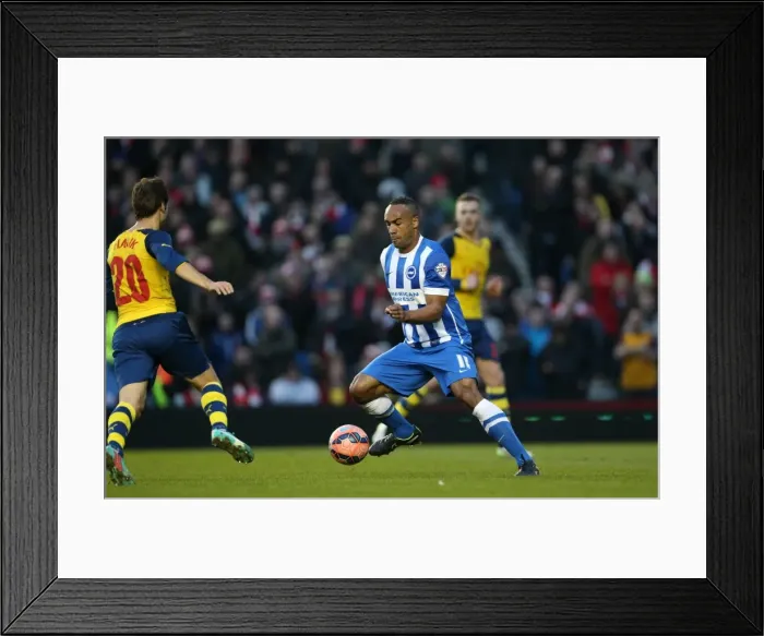 Framed Print : Brighton & Hove Albion's Chris O'Grady Faces Off Against Arsenal in FA Cup Clash, American Express Community Stadium, 25 January 2015 Framed Print : Brighton & Hove Albion's Chris O'Grady Faces Off Against Arsenal in FA Cup Clash, American Express Community Stadium, 25 January 2015