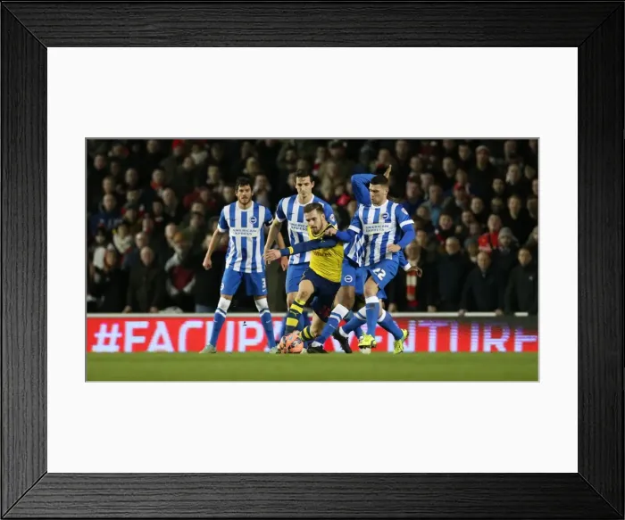 Framed Print : Brighton Midfielder Danny Holla in Action Against Arsenal - FA Cup Fourth Round, 2015 Framed Print : Brighton Midfielder Danny Holla in Action Against Arsenal - FA Cup Fourth Round, 2015