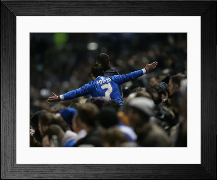 Framed Print : Seagulls Soar: Brighton and Hove Albion FA Cup Clash vs. Arsenal (25Jan15) Framed Print : Seagulls Soar: Brighton and Hove Albion FA Cup Clash vs. Arsenal (25Jan15)