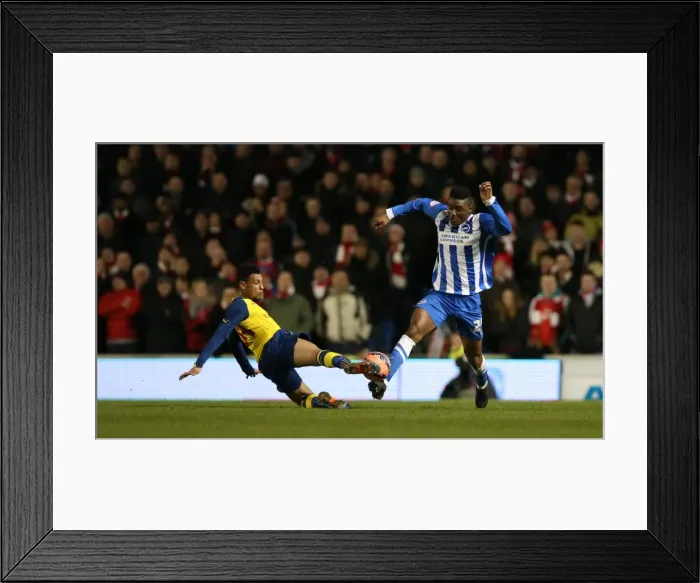 Framed Print : Rohan Ince in FA Cup Action: Brighton & Hove Albion vs. Arsenal (25Jan15) Framed Print : Rohan Ince in FA Cup Action: Brighton & Hove Albion vs. Arsenal (25Jan15)