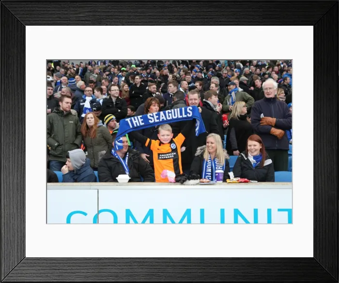 Framed Print : Sea of Passionate Fans: Brighton & Hove Albion vs. Arsenal FA Cup Showdown (25Jan15) Framed Print : Sea of Passionate Fans: Brighton & Hove Albion vs. Arsenal FA Cup Showdown (25Jan15)