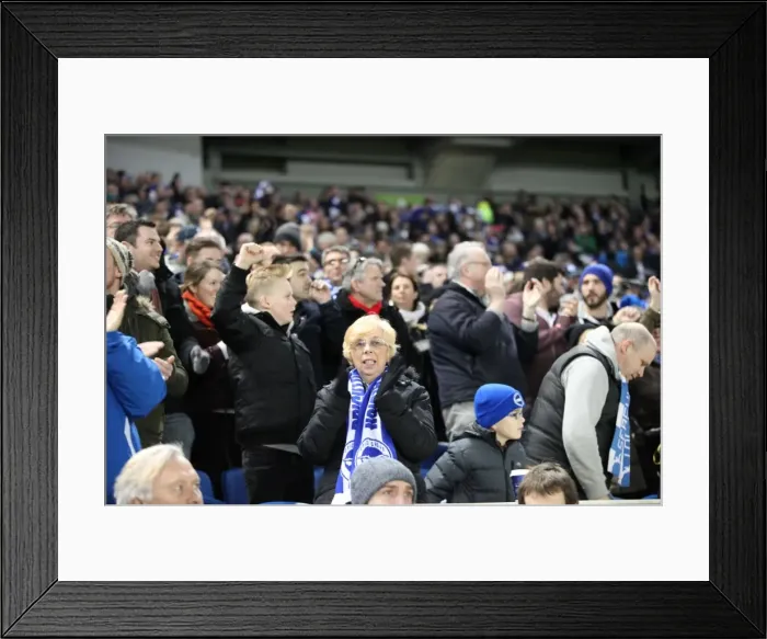 Framed Print : Brighton and Hove Albion FA Cup Clash: Seafront Fans Unite against Arsenal (25Jan15) Framed Print : Brighton and Hove Albion FA Cup Clash: Seafront Fans Unite against Arsenal (25Jan15)