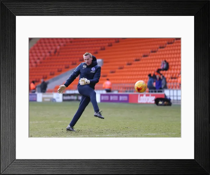 Framed Print : Antti Niemi in Action: Blackpool vs. Brighton & Hove Albion, Sky Bet Championship (31Jan15) Framed Print : Antti Niemi in Action: Blackpool vs. Brighton & Hove Albion, Sky Bet Championship (31Jan15)
