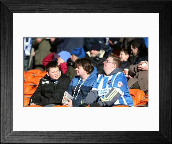 Framed Print : Brighton and Hove Albion Fans in Action at Bloomfield Road (31Jan15)