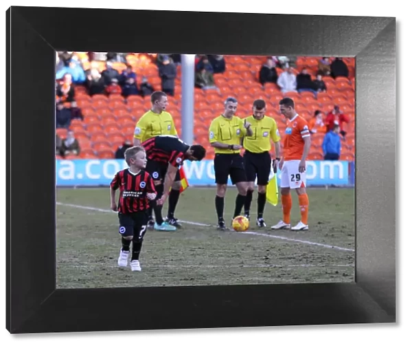 Brighton and Hove Albion Mascot in Action: Sky Bet Championship Match at Blackpool's Bloomfield Road (31Jan15)