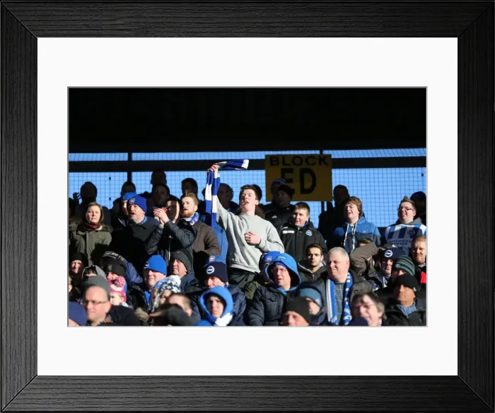 Framed Print : Brighton and Hove Albion Fans in Action at Bloomfield Road (31Jan15) Framed Print : Brighton and Hove Albion Fans in Action at Bloomfield Road (31Jan15)