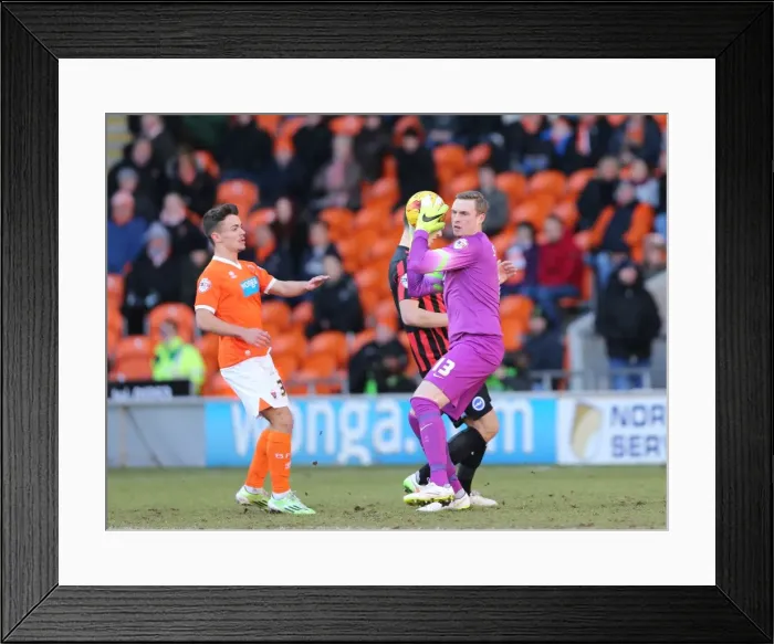 Framed Print : Brighton's David Stockdale in Action: Sky Bet Championship Clash vs. Blackpool (31st January 2015) Framed Print : Brighton's David Stockdale in Action: Sky Bet Championship Clash vs. Blackpool (31st January 2015)