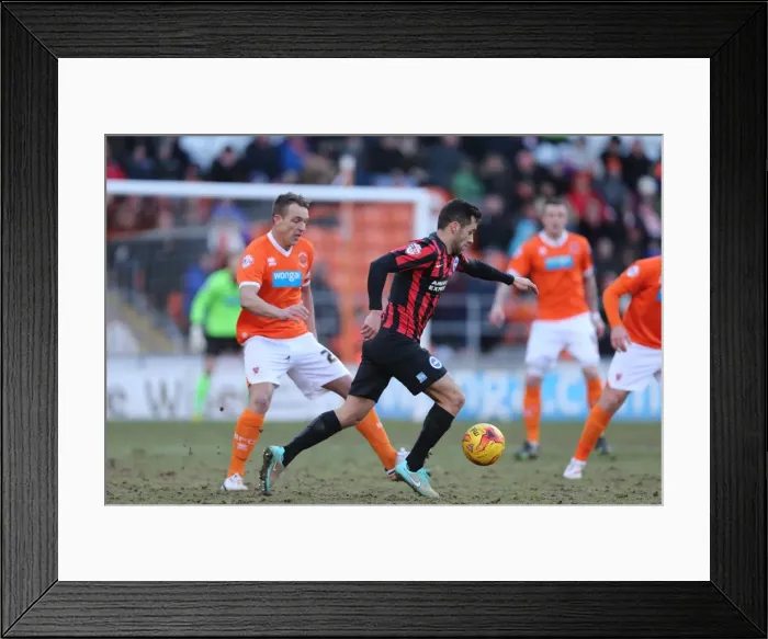 Framed Print : Sam Baldock in Action: Blackpool vs. Brighton & Hove Albion, Sky Bet Championship (31st January 2015) Framed Print : Sam Baldock in Action: Blackpool vs. Brighton & Hove Albion, Sky Bet Championship (31st January 2015)