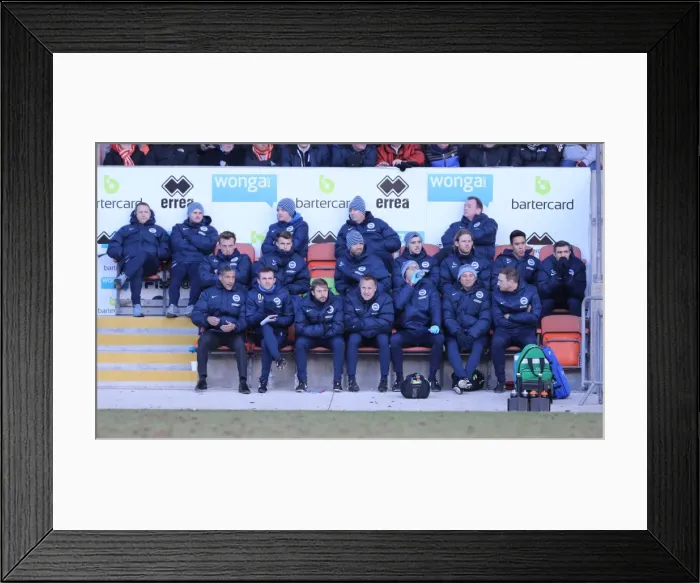 Framed Print : Chris Hughton and Brighton & Hove Albion Bench during Sky Bet Championship Match vs Blackpool (31Jan15) Framed Print : Chris Hughton and Brighton & Hove Albion Bench during Sky Bet Championship Match vs Blackpool (31Jan15)