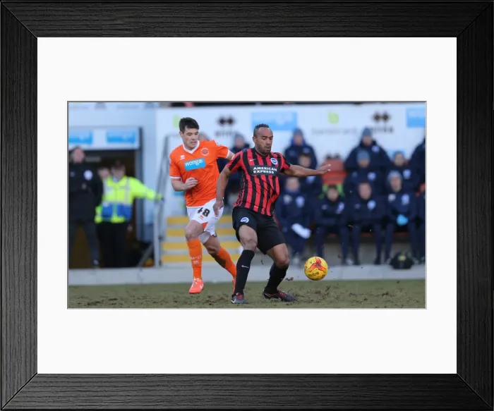 Framed Print : Chris O'Grady Strikes for Brighton: Blackpool vs. Brighton and Hove Albion, Sky Bet Championship, 31st January 2015 Framed Print : Chris O'Grady Strikes for Brighton: Blackpool vs. Brighton and Hove Albion, Sky Bet Championship, 31st January 2015