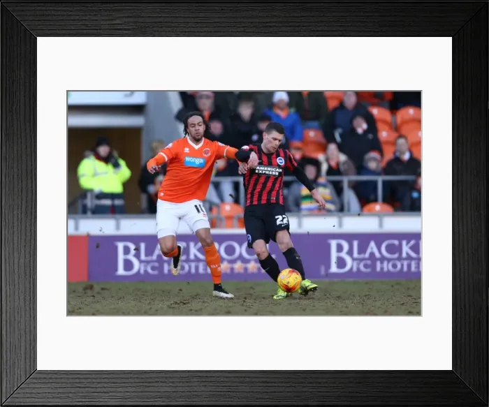 Framed Print : Brighton's Danny Holla in Action against Blackpool (31Jan15) Framed Print : Brighton's Danny Holla in Action against Blackpool (31Jan15)