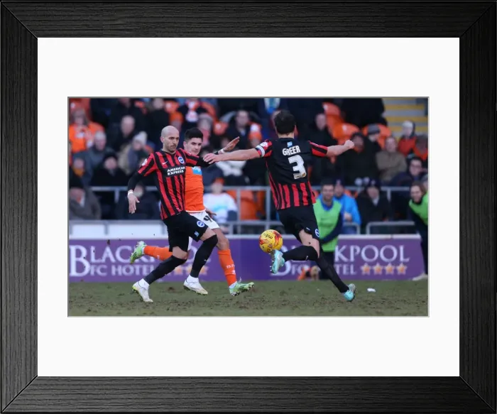 Framed Print : Bruno Saltor in Action: Brighton and Hove Albion vs. Blackpool (31Jan15) Framed Print : Bruno Saltor in Action: Brighton and Hove Albion vs. Blackpool (31Jan15)