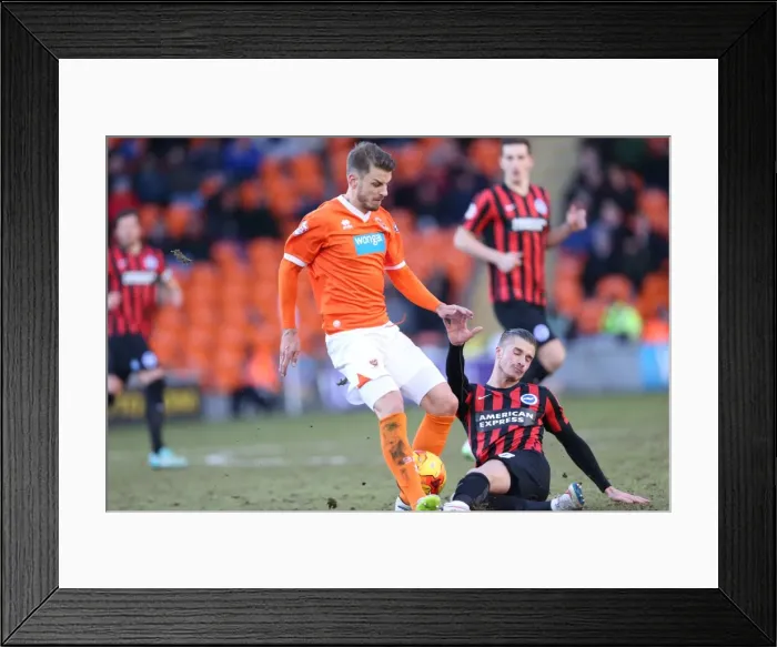 Framed Print : Joe Bennett in Action: Blackpool vs. Brighton and Hove Albion, Sky Bet Championship, 31st January 2015 Framed Print : Joe Bennett in Action: Blackpool vs. Brighton and Hove Albion, Sky Bet Championship, 31st January 2015
