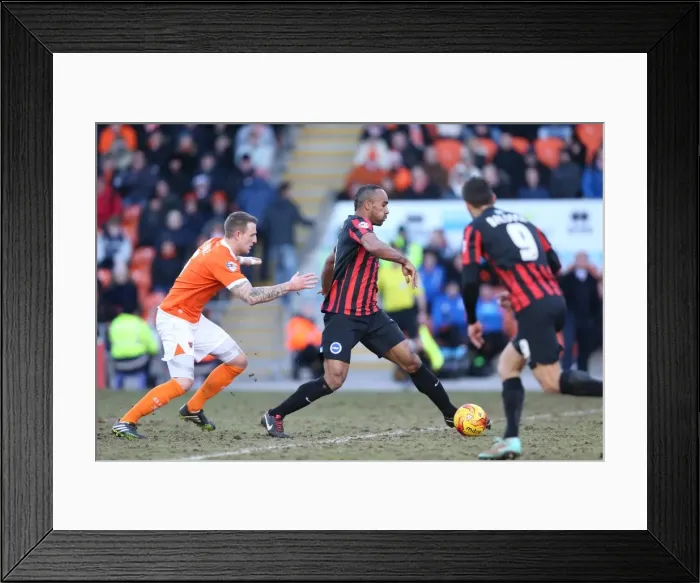 Framed Print : Chris O'Grady in Action: Brighton vs. Blackpool, Sky Bet Championship (31st January 2015) Framed Print : Chris O'Grady in Action: Brighton vs. Blackpool, Sky Bet Championship (31st January 2015)