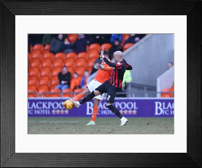 Framed Print : Bruno Saltor of Brighton and Hove Albion in Action against Blackpool (31Jan15) Framed Print : Bruno Saltor of Brighton and Hove Albion in Action against Blackpool (31Jan15)