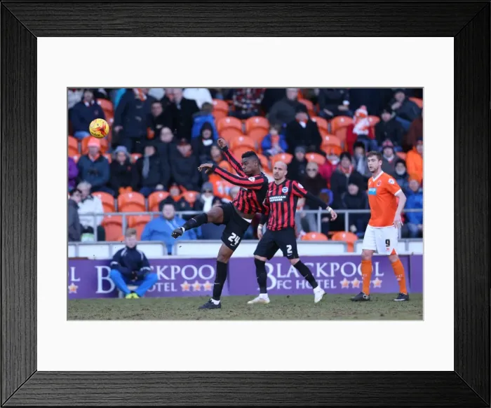 Framed Print : Rohan Ince in Action: Brighton vs. Blackpool, Sky Bet Championship (31st January 2015) Framed Print : Rohan Ince in Action: Brighton vs. Blackpool, Sky Bet Championship (31st January 2015)
