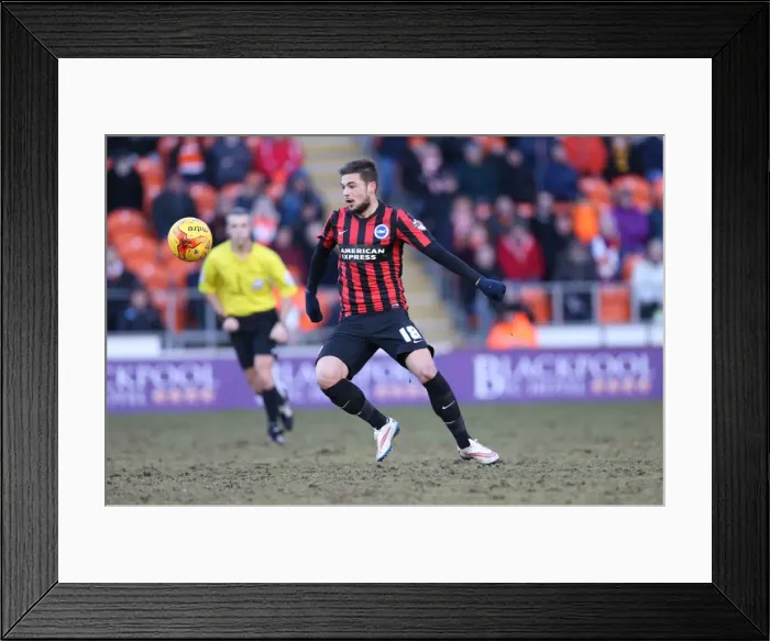 Framed Print : Brighton's Jake Forster-Caskey in Action against Blackpool (31Jan15) Framed Print : Brighton's Jake Forster-Caskey in Action against Blackpool (31Jan15)