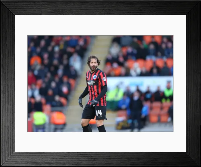 Framed Print : Inigo Calderon in Action: Brighton & Hove Albion vs. Blackpool, Sky Bet Championship (31st January 2015) Framed Print : Inigo Calderon in Action: Brighton & Hove Albion vs. Blackpool, Sky Bet Championship (31st January 2015)