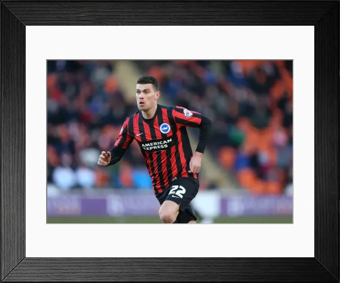 Framed Print : Brighton's Danny Holla Faces Off in Intense Championship Clash vs. Blackpool (31Jan15) Framed Print : Brighton's Danny Holla Faces Off in Intense Championship Clash vs. Blackpool (31Jan15)