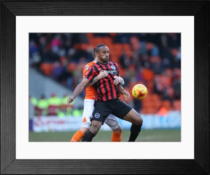 Framed Print : Chris O'Grady in Action: Blackpool vs. Brighton & Hove Albion, Sky Bet Championship (31st January 2015) Framed Print : Chris O'Grady in Action: Blackpool vs. Brighton & Hove Albion, Sky Bet Championship (31st January 2015)
