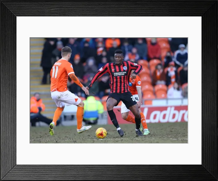 Framed Print : Rohan Ince in Action: Blackpool vs. Brighton and Hove Albion, Sky Bet Championship (31st January 2015) Framed Print : Rohan Ince in Action: Blackpool vs. Brighton and Hove Albion, Sky Bet Championship (31st January 2015)